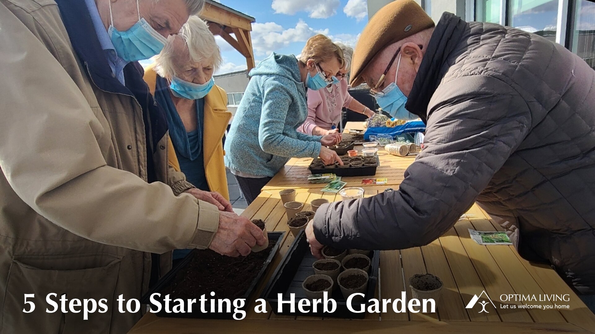 A gathering of men and women planting herbs in the garden, fun activities for seniors