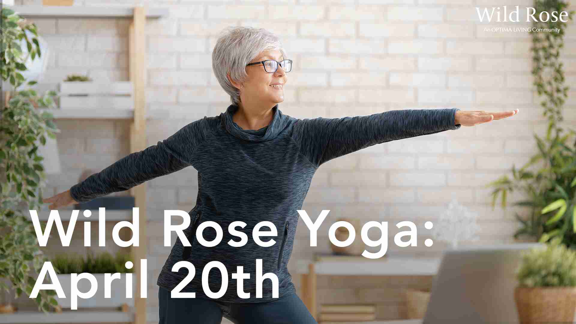 Stretching exercises for seniors at Wild Rose